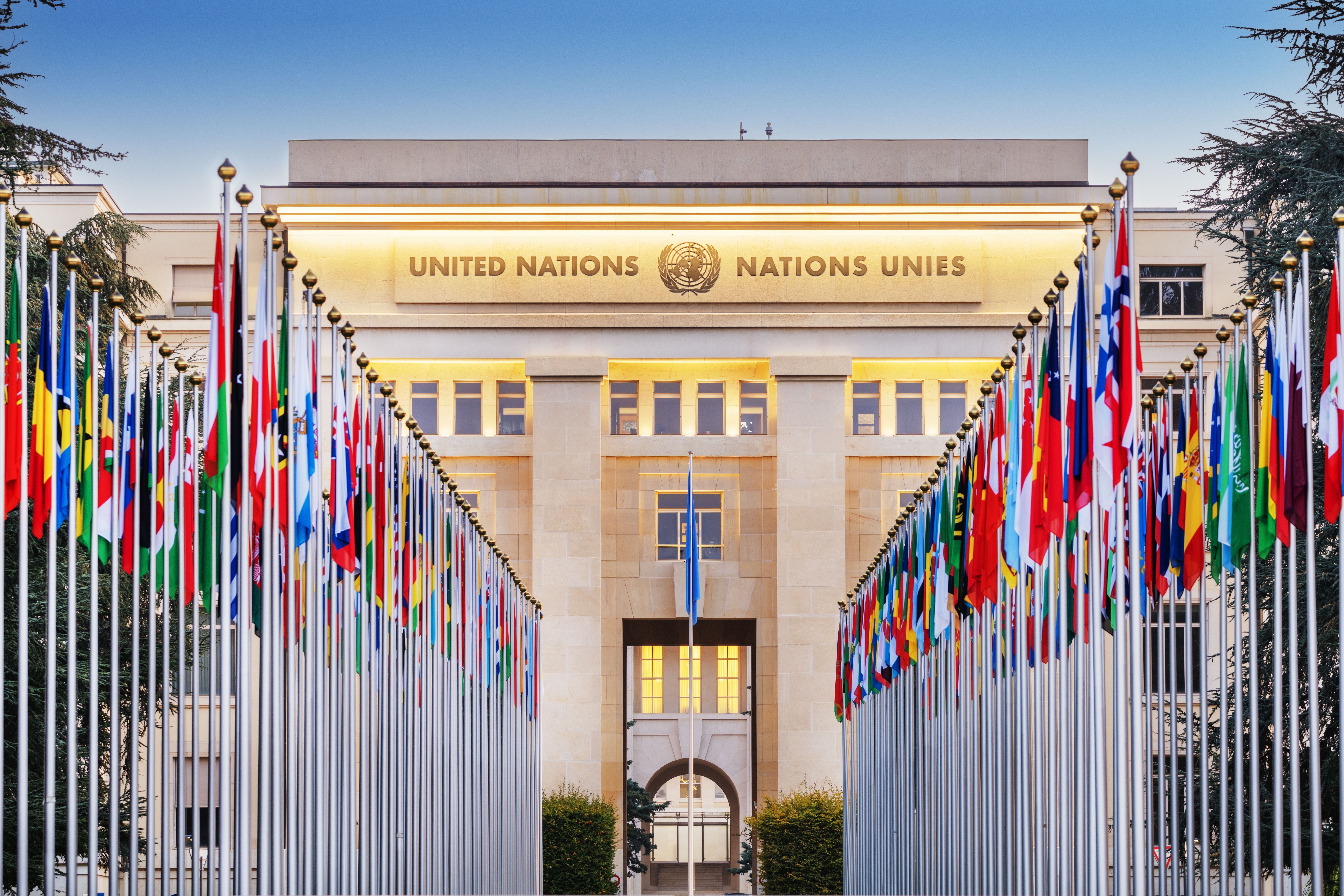 The United Nations Turns 80: A Proof of Life or A Plea for Reform?